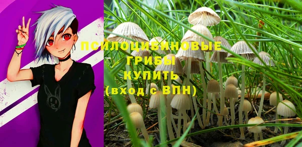 мяу мяу кристалл Елабуга
