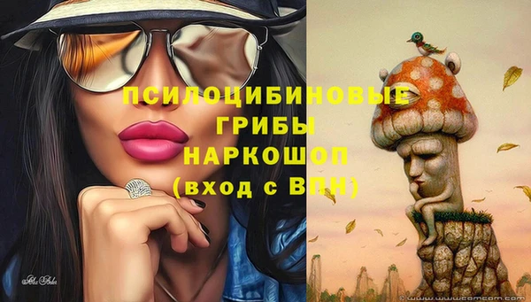 героин Ельня