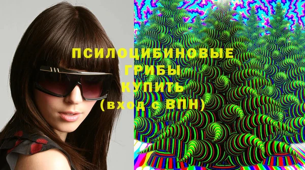 героин Ельня